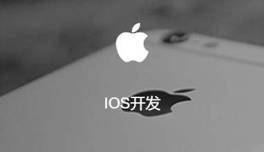 智天软件为企业提供iOS APP定制